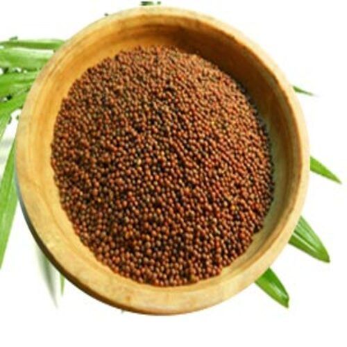 Healthy and Natural Mustard Seeds