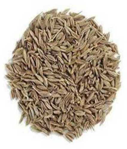 Brown Natural Taste Cumin Seeds