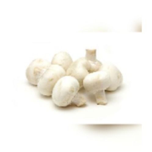 Organic Button White Mushroom