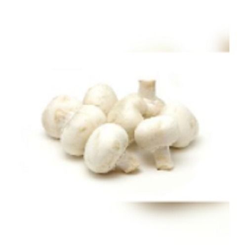 Common Organic Button White Mushroom