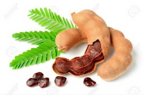 Brown Organic Fresh Tamarind