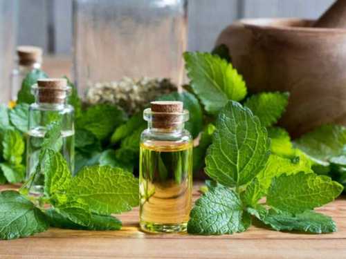 Yellow Natural Lemon Balm Oil