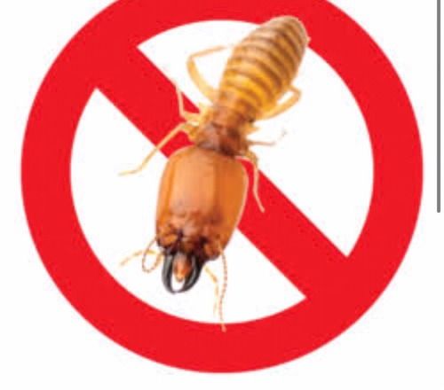 Termites Pest Control Services By ECO PEST CONTROL SERVICES