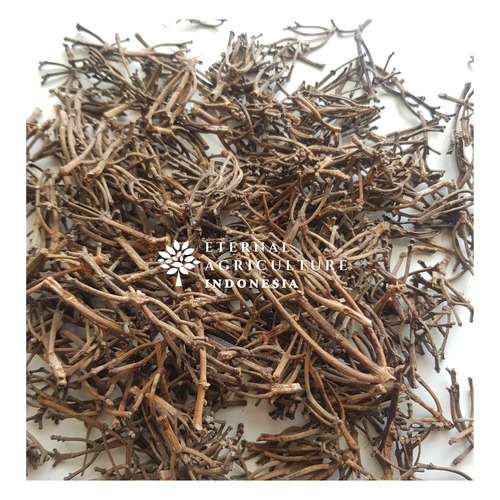 Organic Dried Clove Stems By CV. Eternal Agriculture Indonesia