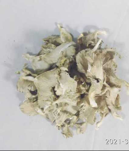 White Dry Oyster Mushroom Origin: India