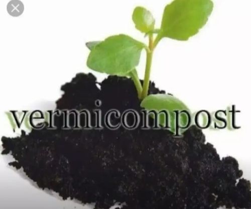 Agriculture Vermicomposting Fertilizer Controlled Release Type