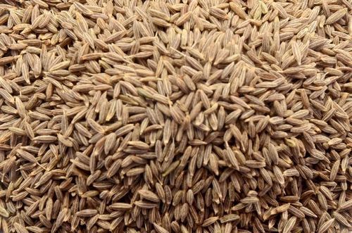 Light Brown Healthy And Natural Cumin Seeds