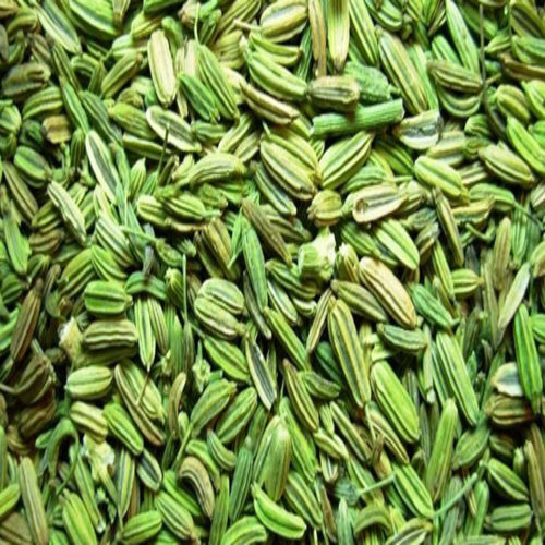 Healthy and Natural Fennel Seeds