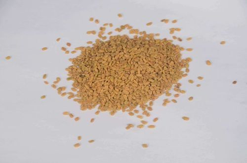 Healthy and Natural Fenugreek Seeds