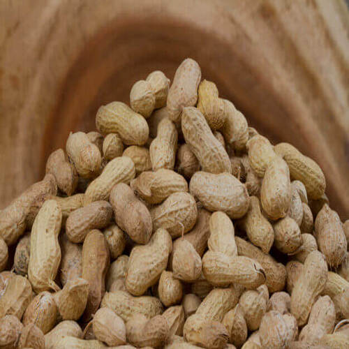 Healthy and Natural Raw Peanuts
