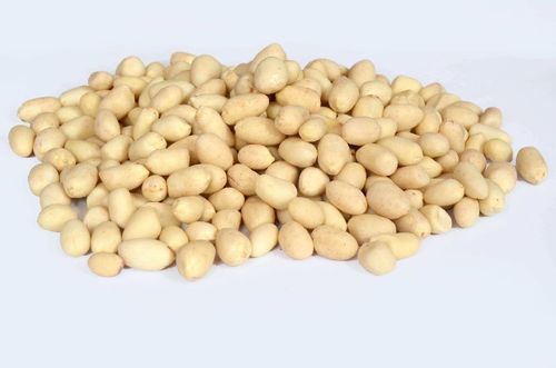 Organic Healthy And Natural Roasted Blanched Peanuts