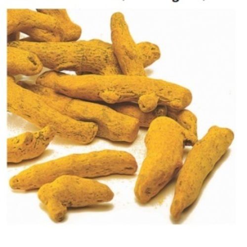 Yellow Healthy And Natural Turmeric Finger