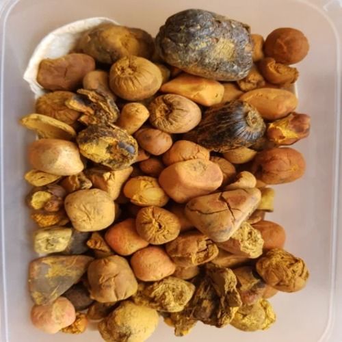 Organic Cow Gallstones 30mm