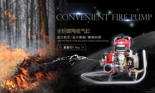 Portable Fire Extinguishing Pump