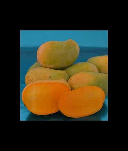 A Grade Kesar Mango