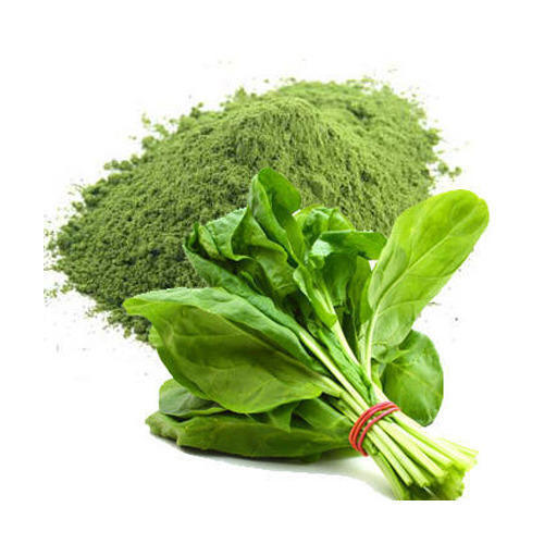 Organic Green Spinach Leaf Extract