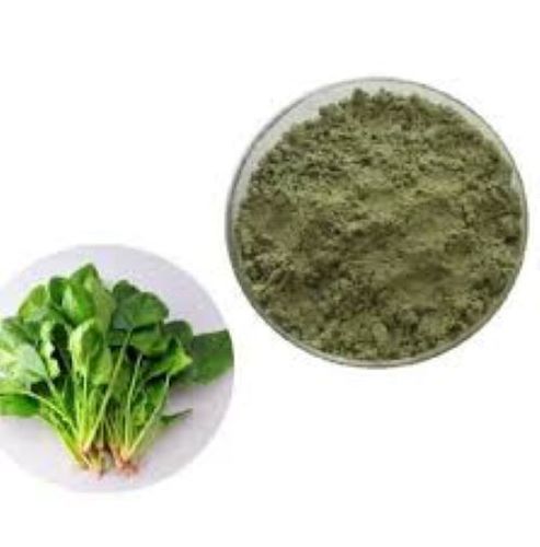 Organic Green Spinach Leaf Extract Age Group: For Adults