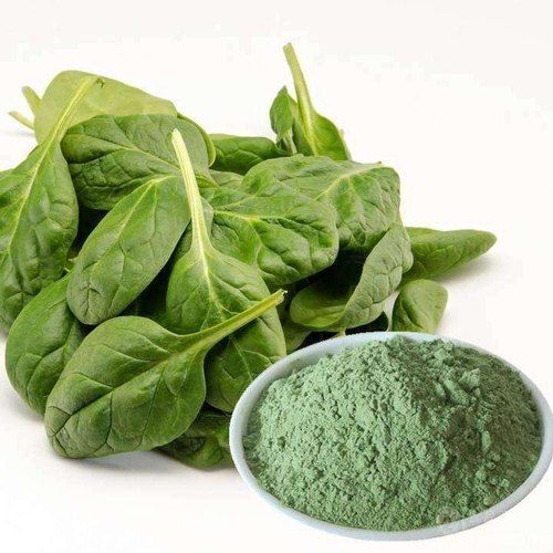 Organic Green Spinach Leaf Extract Age Group: For Adults