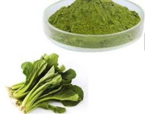 Organic Green Spinach Leaf Extract