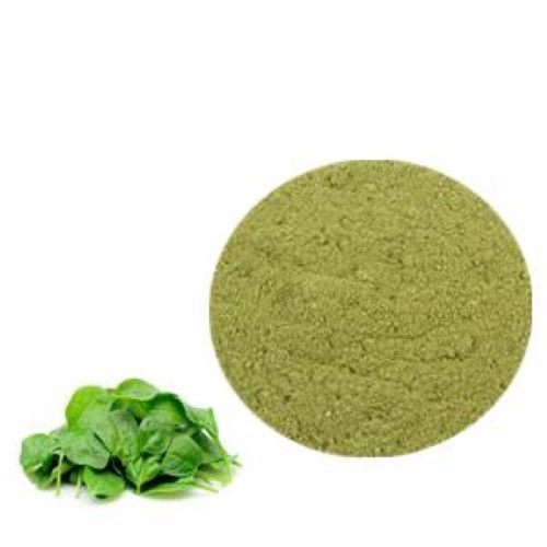 Organic Green Spinach Leaf Extract