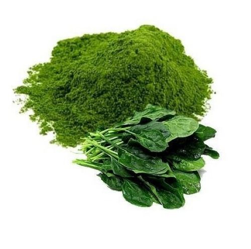 Organic Green Spinach Leaf Extract Age Group: For Adults