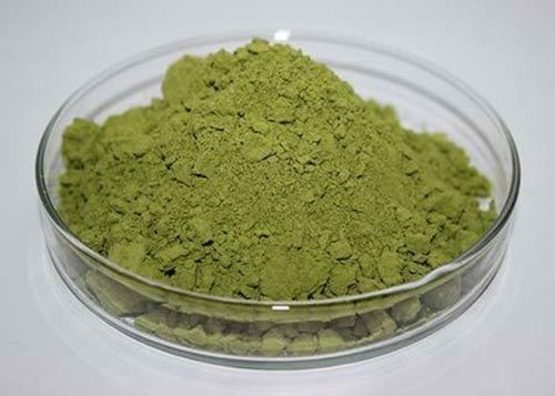 Organic Green Spinach Leaf Extract