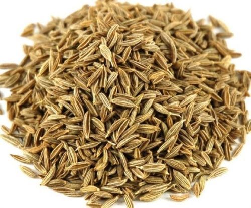 Healthy And Natural Cumin Seeds Admixture (%): 2% Max