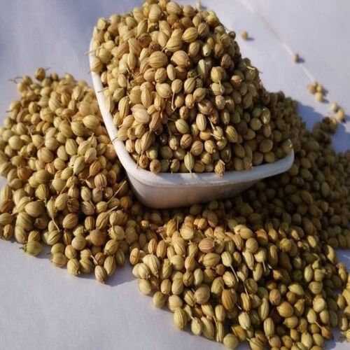 Healthy And Natural Scooter Coriander Seeds Admixture (%): 2 %