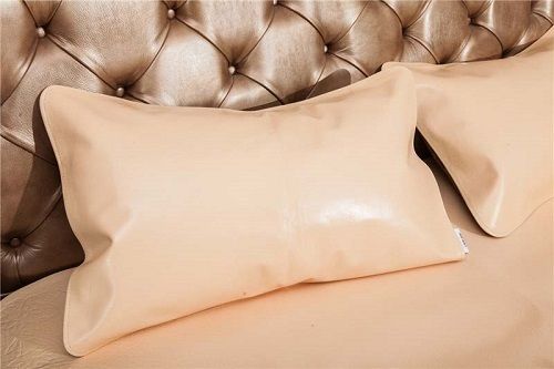 Leather Pillow Cases Rinting With Beige Style
