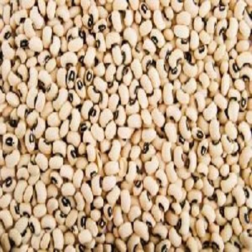 Healthy And Natural Black Eyed Beans Grade: Food Grade