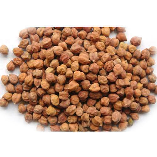 Common Healthy And Natural Black Chickpeas