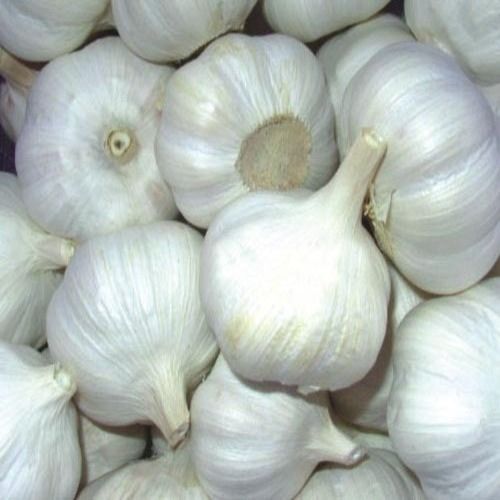 Healthy and Natural Garlic Pods