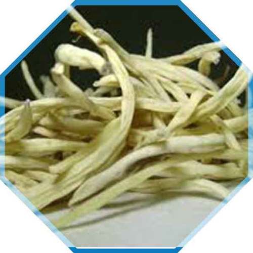 Highly Effective Safed Musli Cool And Dry Place