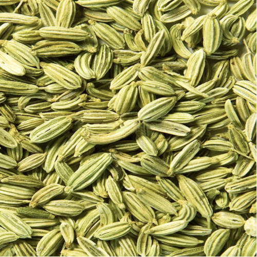 Healthy and Natural Fennel Seeds