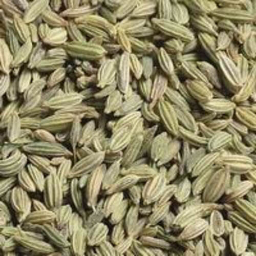 Healthy and Natural Fennel Seeds