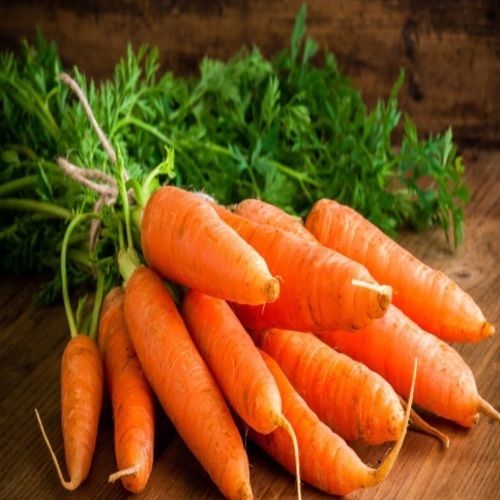 Healthy and Natural Fresh Carrot