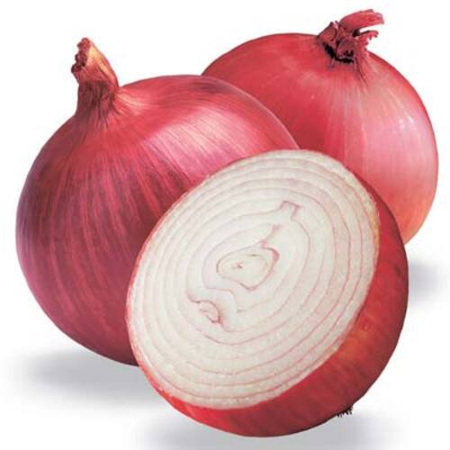 Healthy and Natural Fresh Red Onion