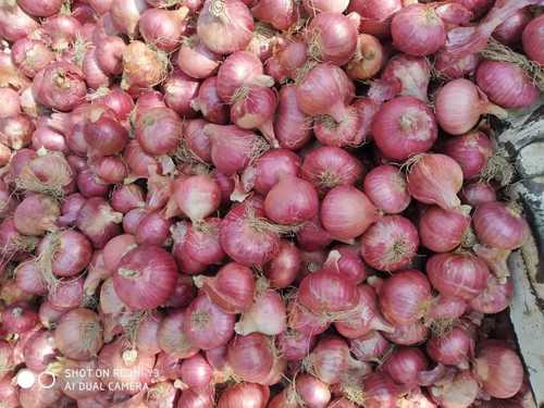 Natural Fresh Red Onion