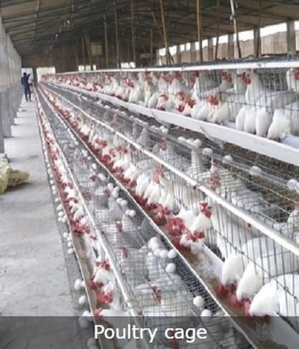 3 Tier Poultry Cage Size: Various