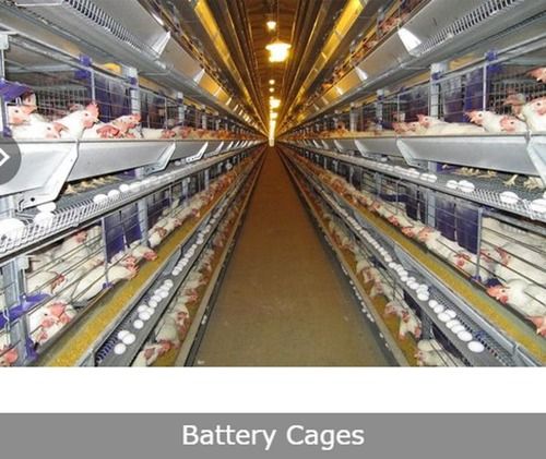 GI Wire Battery Cages