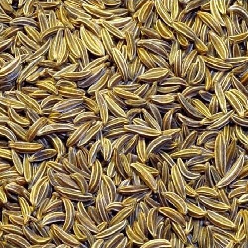 Healthy and Natural Cumin Seeds