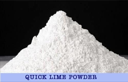 Quick Lime Powder