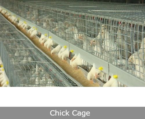 Uniform Growth Chick Cage