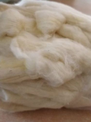 Cotton Off White Raw Material