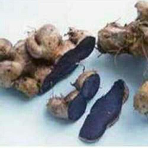 Healthy And Natural Black Ginger Shelf Life: 6 Months