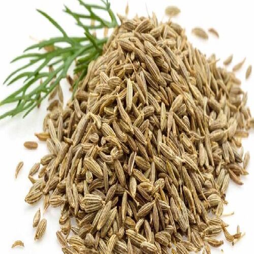 Healthy And Natural Cumin Seeds Grade: Food Grade