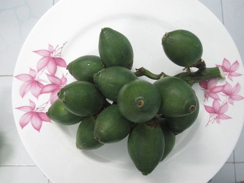 Healthy and Natural Fresh Betel Nuts