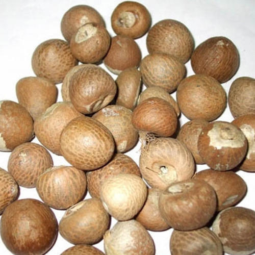 Healthy and Natural Whole Betel Nuts