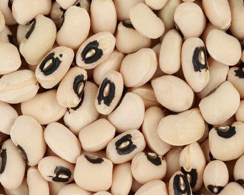 Healthy And Natural Black Eyed Beans Grade: Food Grade