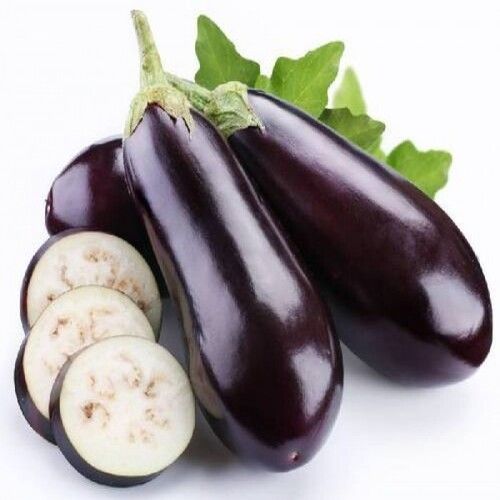 Healthy and Natural Fresh Brinjal